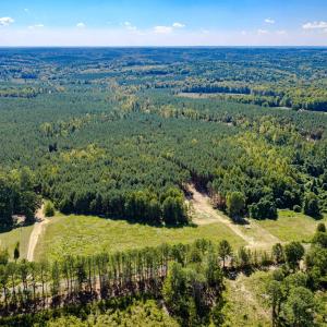 Photo #39 of Buckhorn, Sanford, NC 206.5 acres