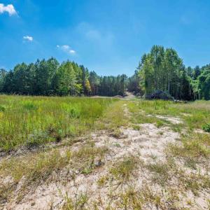 Photo #17 of Buckhorn, Sanford, NC 206.5 acres