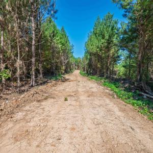 Photo #23 of Buckhorn, Sanford, NC 206.5 acres
