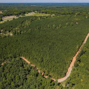 Photo #15 of Buckhorn, Sanford, NC 206.5 acres