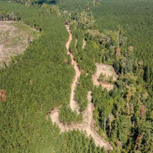 Photo #34 of Buckhorn, Sanford, NC 206.5 acres