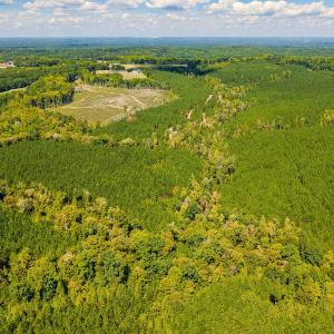 Photo #32 of Buckhorn, Sanford, NC 206.5 acres
