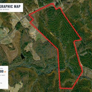 Photo #7 of Buckhorn, Sanford, NC 206.5 acres