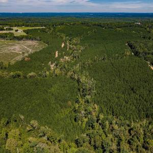 Photo #37 of Buckhorn, Sanford, NC 206.5 acres