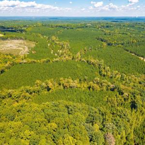 Photo #45 of Buckhorn, Sanford, NC 206.5 acres