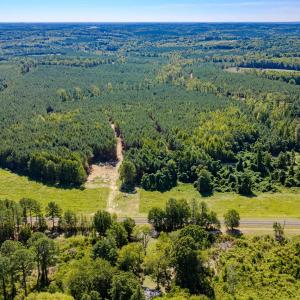 Photo #47 of Buckhorn, Sanford, NC 206.5 acres