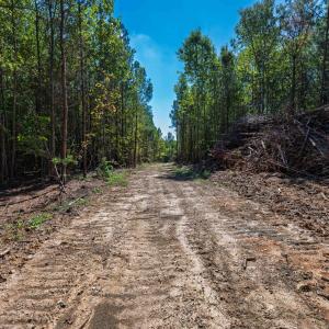Photo #24 of Buckhorn, Sanford, NC 206.5 acres
