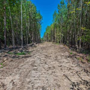 Photo #25 of Buckhorn, Sanford, NC 206.5 acres