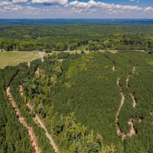 Photo #27 of Buckhorn, Sanford, NC 206.5 acres