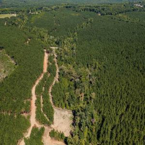 Photo #22 of Buckhorn, Sanford, NC 206.5 acres