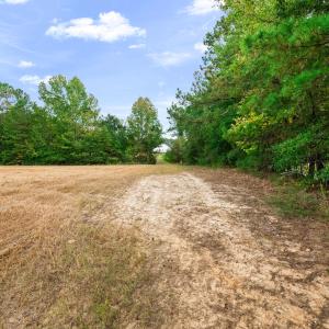 Photo #28 of 1612 Pagan, Raleigh, NC 10.4 acres