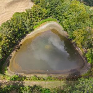 Photo #17 of 1612 Pagan, Raleigh, NC 10.4 acres