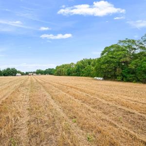 Photo #23 of 1612 Pagan, Raleigh, NC 10.4 acres