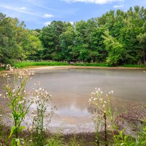 Photo #32 of 1612 Pagan, Raleigh, NC 10.4 acres