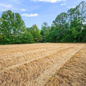 Photo #26 of 1612 Pagan, Raleigh, NC 10.4 acres