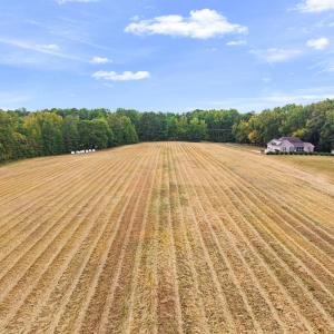 Photo #21 of 1612 Pagan, Raleigh, NC 10.4 acres