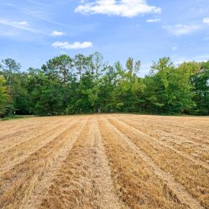 Photo #25 of 1612 Pagan, Raleigh, NC 10.4 acres