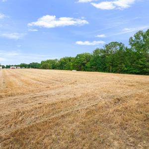 Photo #27 of 1612 Pagan, Raleigh, NC 10.4 acres