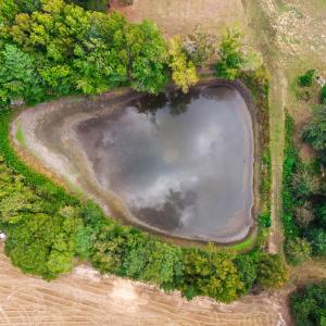 Photo #6 of 1612 Pagan, Raleigh, NC 10.4 acres