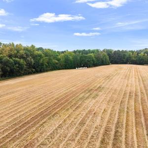 Photo #22 of 1612 Pagan, Raleigh, NC 10.4 acres
