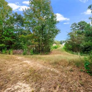 Photo #29 of 1612 Pagan, Raleigh, NC 10.4 acres