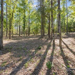 Photo #4 of 4000 Granite Ridge, Raleigh, NC 10.5 acres