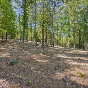 Photo #3 of 4000 Granite Ridge, Raleigh, NC 10.5 acres