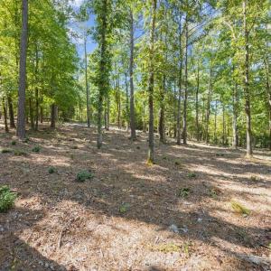 Photo #2 of 4000 Granite Ridge, Raleigh, NC 10.5 acres