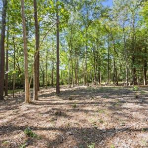 Photo #3 of 4060 Granite Ridge, Raleigh, NC 10.3 acres