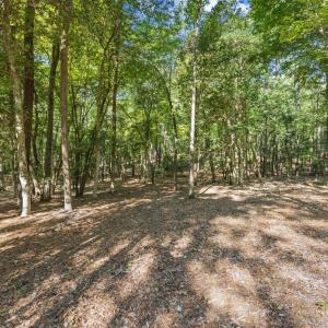 Photo #4 of 4060 Granite Ridge, Raleigh, NC 10.3 acres