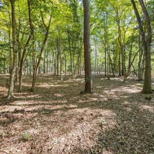 Photo #5 of 4060 Granite Ridge, Raleigh, NC 10.3 acres