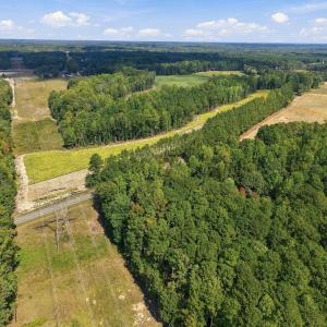 Photo #3 of 7108 Riley Hill School, Wendell, NC 2.8 acres