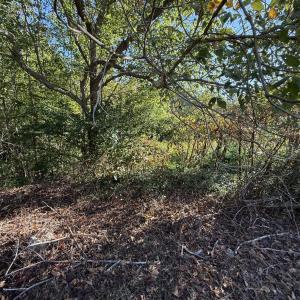 Photo #4 of 606 Aspenwood, Graham, NC 0.6 acres