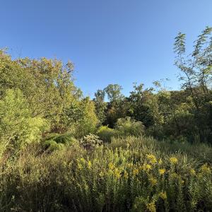 Photo #3 of 606 Aspenwood, Graham, NC 0.6 acres