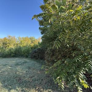 Photo #4 of 602 Aspenwood, Graham, NC 0.5 acres