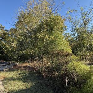 Photo #3 of 602 Aspenwood, Graham, NC 0.5 acres