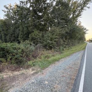Photo #3 of Hollywood, Burlington, NC 1.5 acres