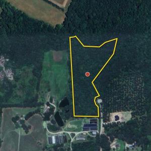 Photo #3 of 3829 Standing Pine, Zebulon, NC 7.9 acres