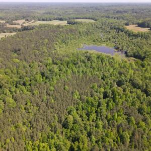 Photo #21 of 3829 Standing Pine, Zebulon, NC 7.9 acres