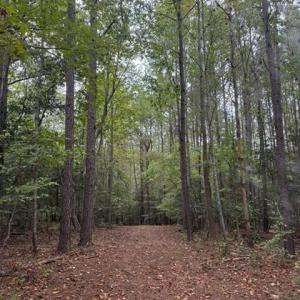 Photo #1 of 3829 Standing Pine, Zebulon, NC 7.9 acres