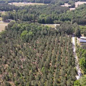 Photo #22 of 3829 Standing Pine, Zebulon, NC 7.9 acres