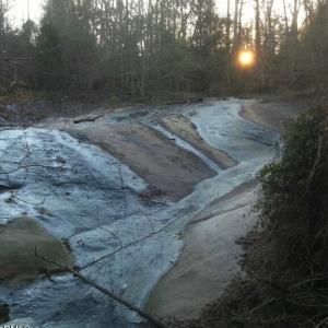 Photo #5 of 3829 Standing Pine, Zebulon, NC 7.9 acres