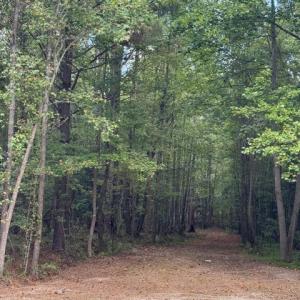 Photo #11 of 3829 Standing Pine, Zebulon, NC 7.9 acres