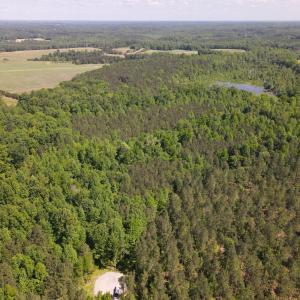 Photo #4 of 3829 Standing Pine, Zebulon, NC 7.9 acres
