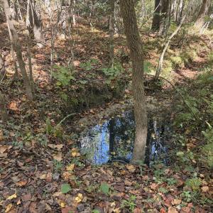 Stream