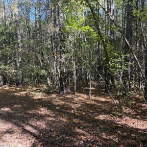 Perfect Homesite