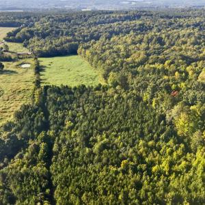 Photo #9 of Tbd 1 Henderson Tanyard, Pittsboro, NC 21.0 acres