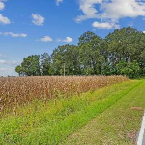 Photo #8 of Holt, Princeton, NC 12.1 acres