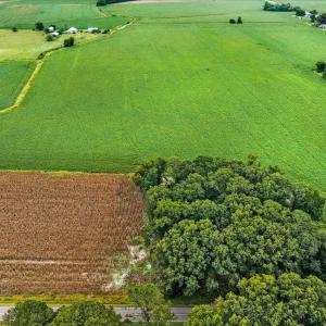 Photo #7 of Holt, Princeton, NC 12.1 acres