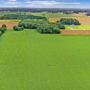 Photo #5 of Holt, Princeton, NC 12.1 acres